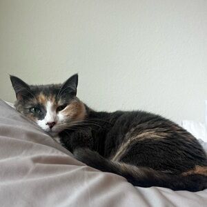 Meet your Posher, Rosa